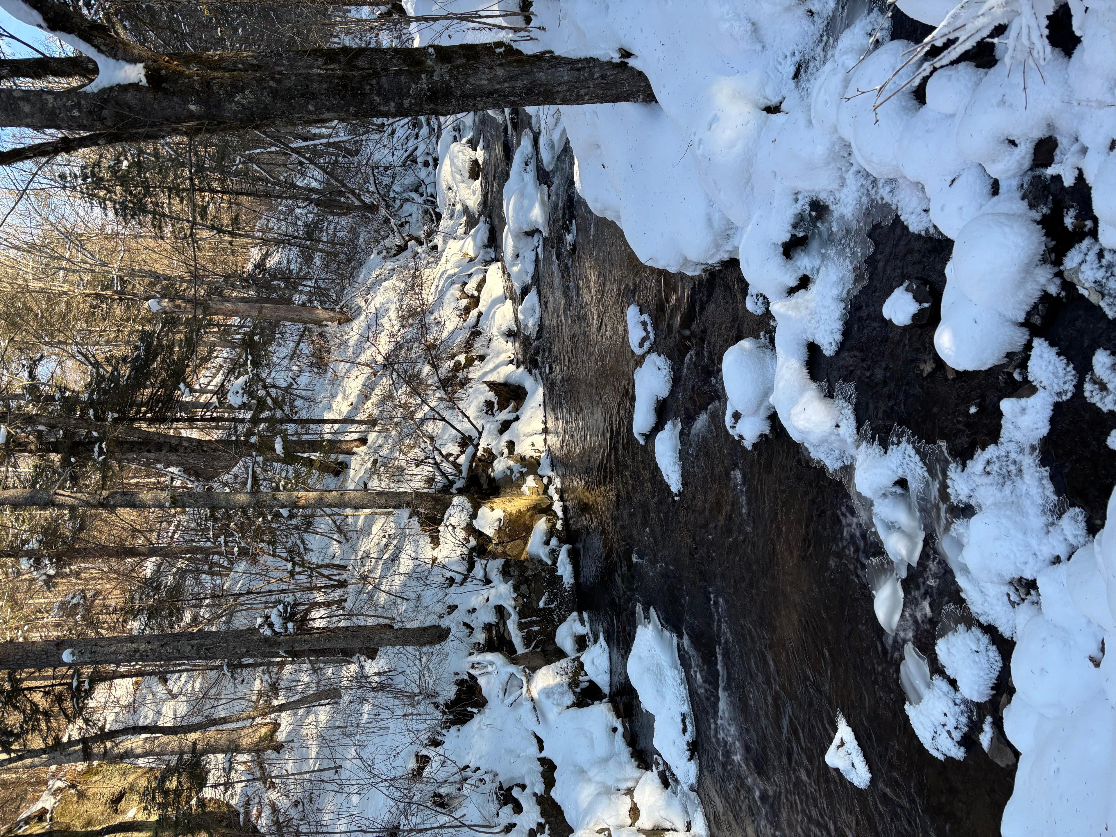 Фото отзыва 3