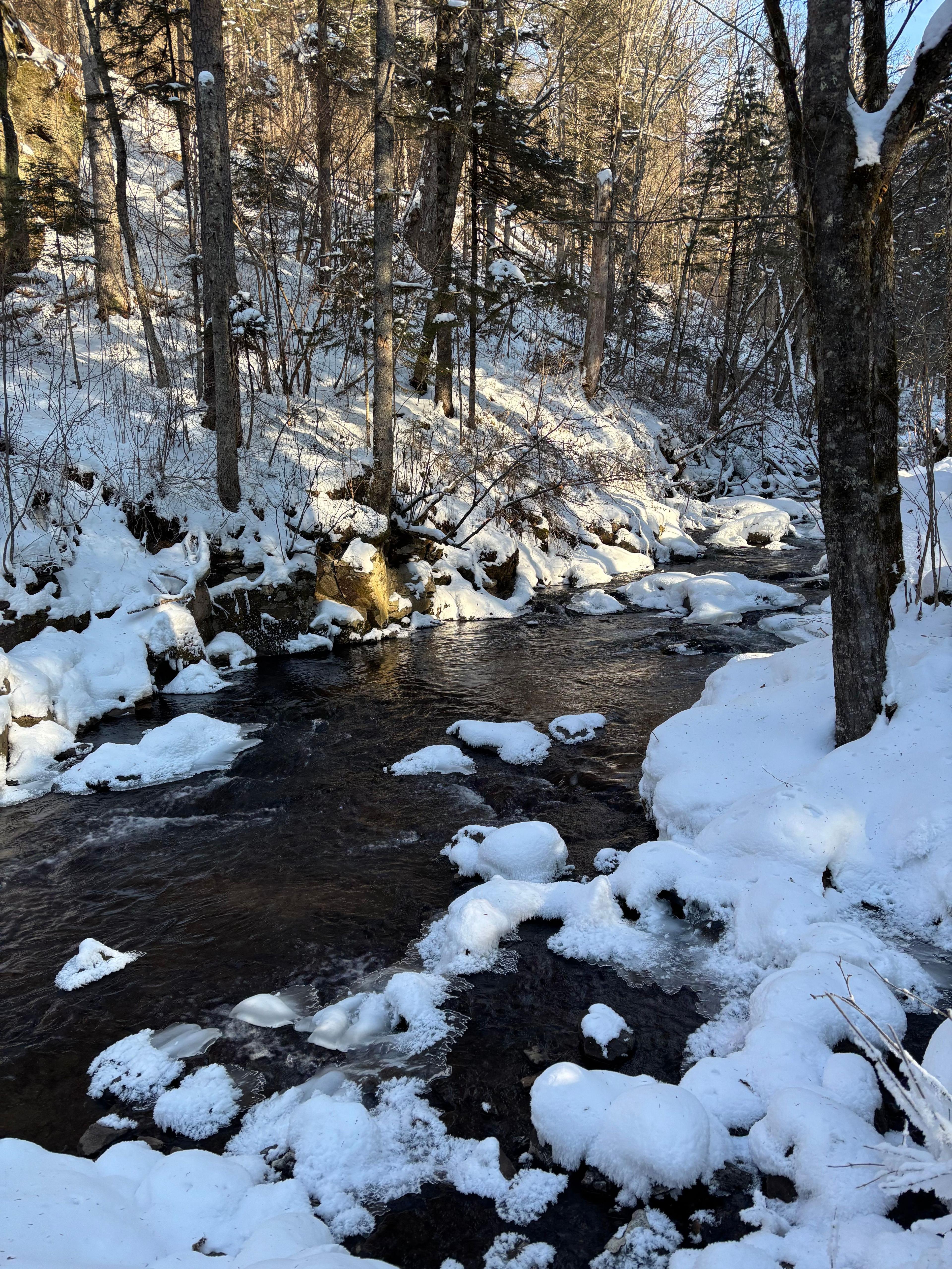 Фото отзыва 3