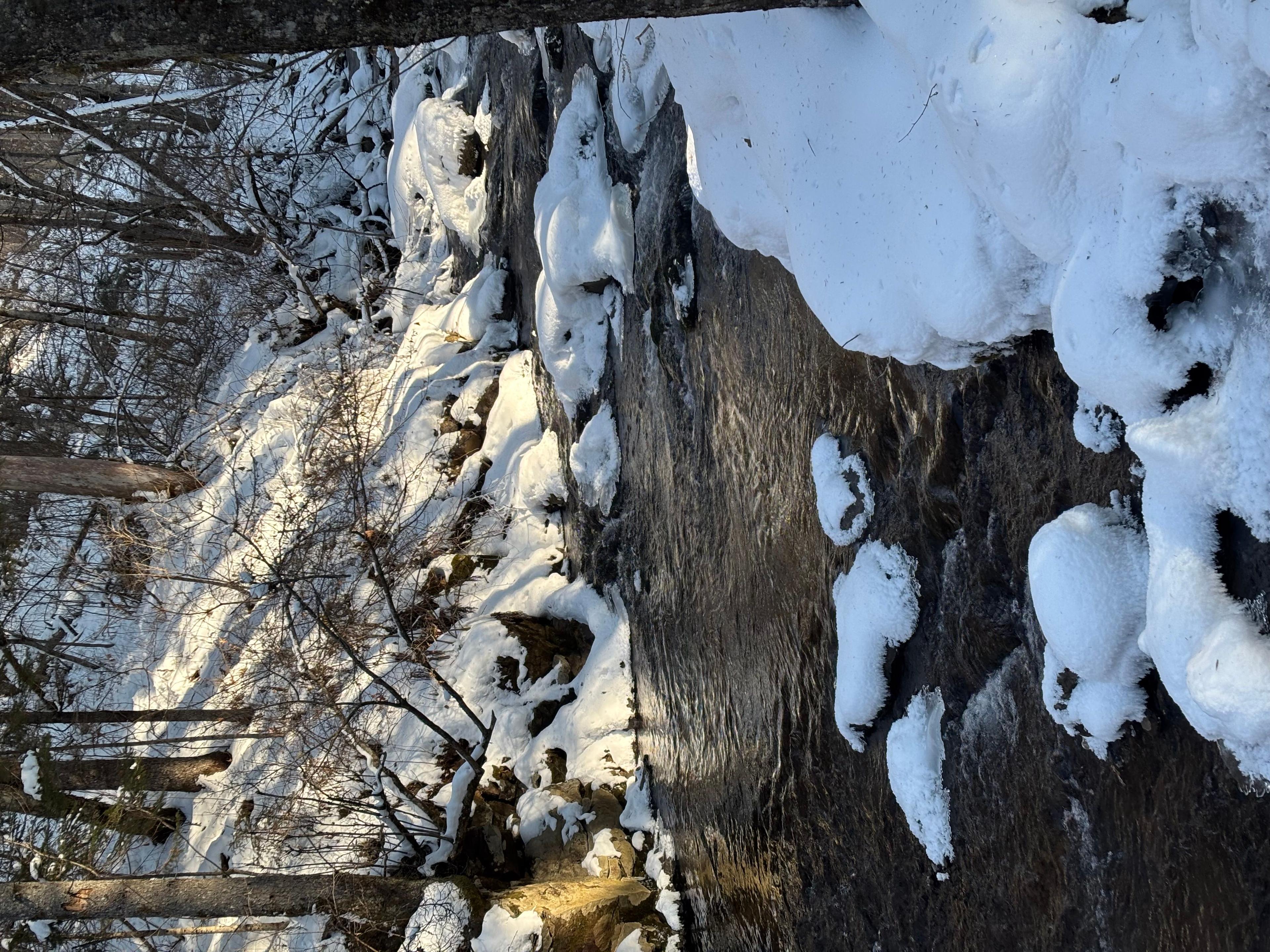 Фото отзыва 2