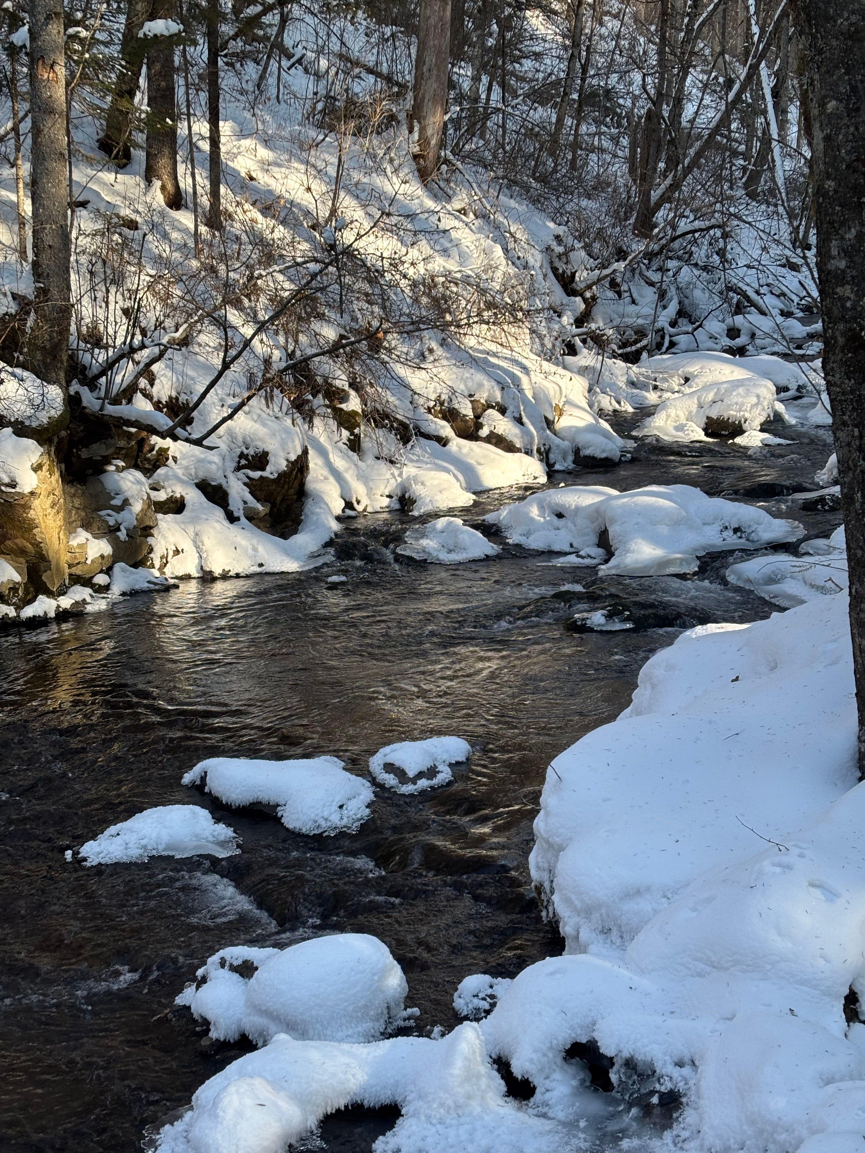 Фото отзыва 2