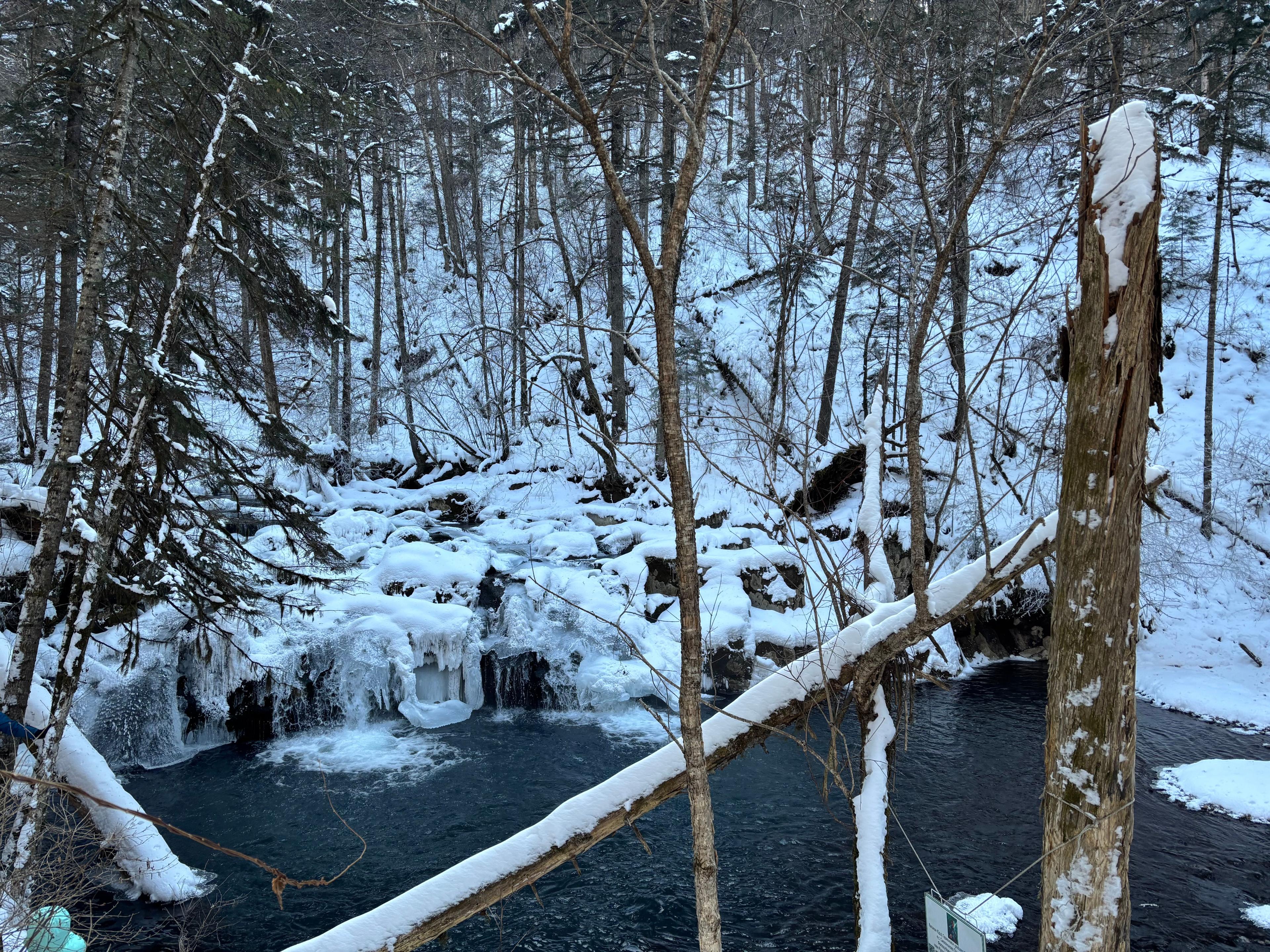 Фото отзыва 1