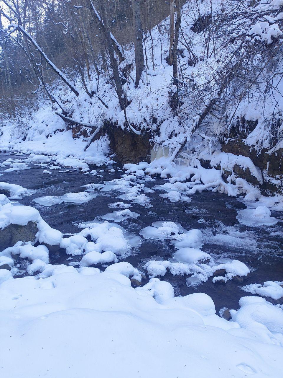 Фото отзыва 1