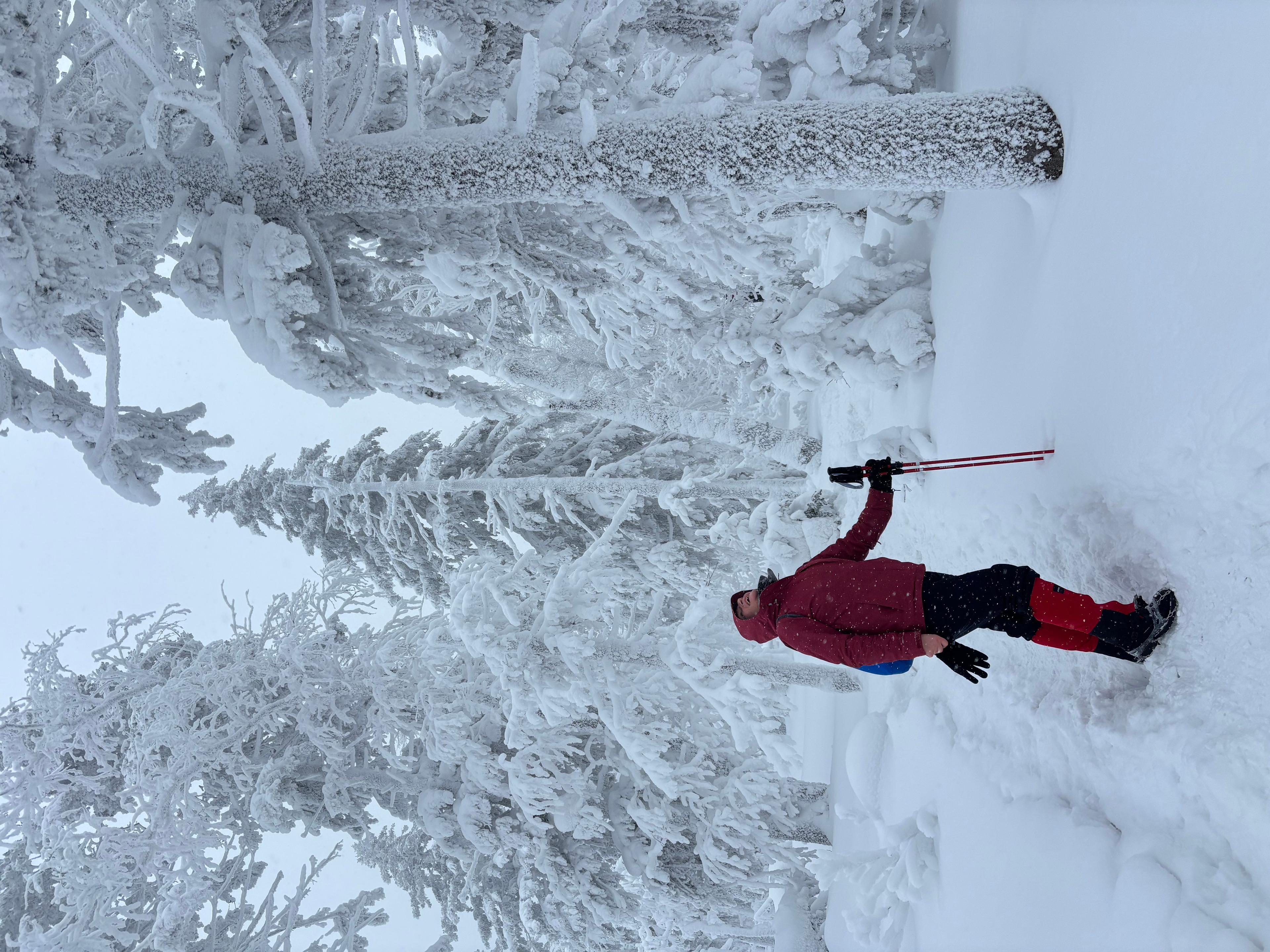 Фото отзыва 1