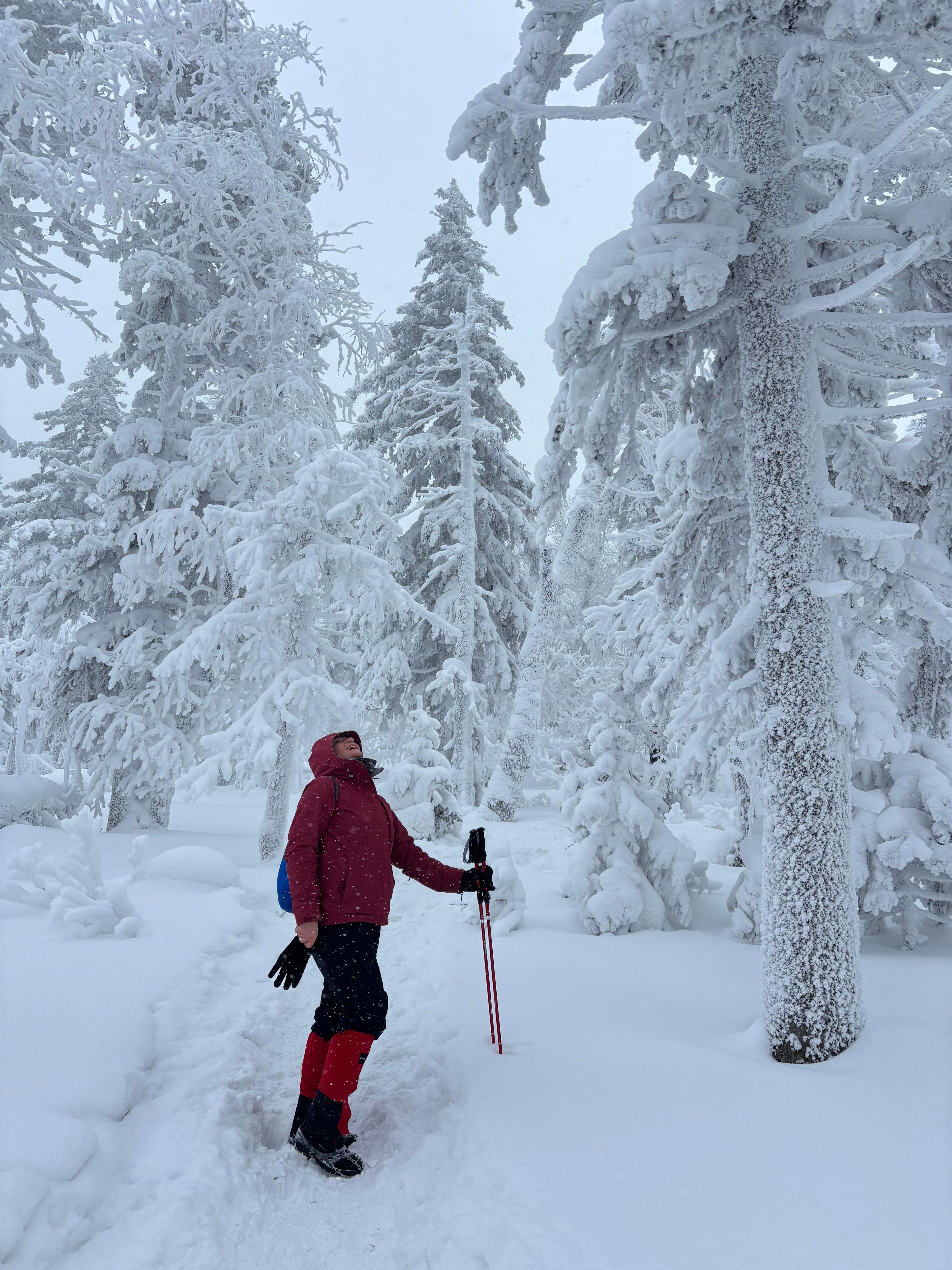 Фото отзыва 1