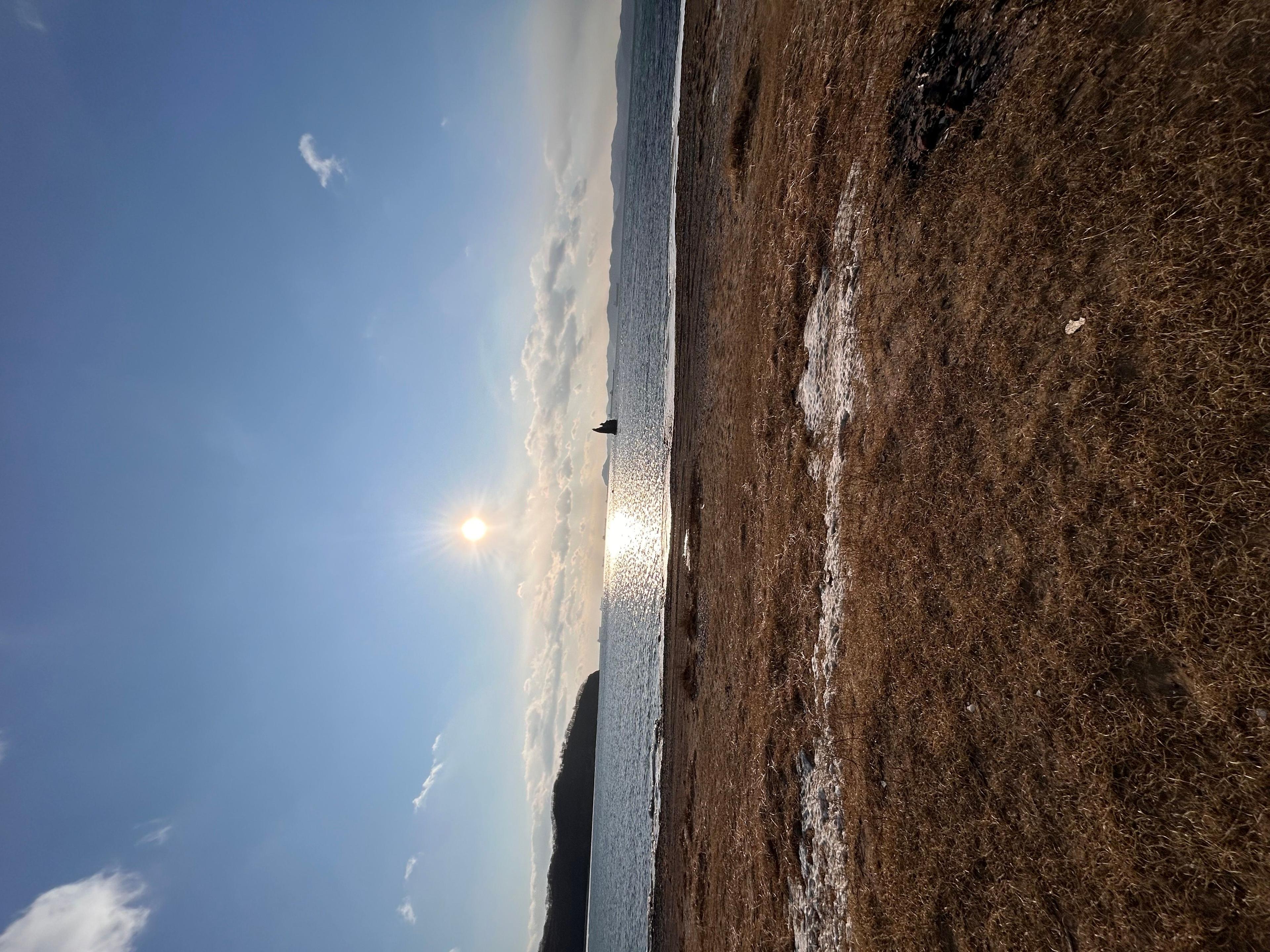 Фото отзыва 2