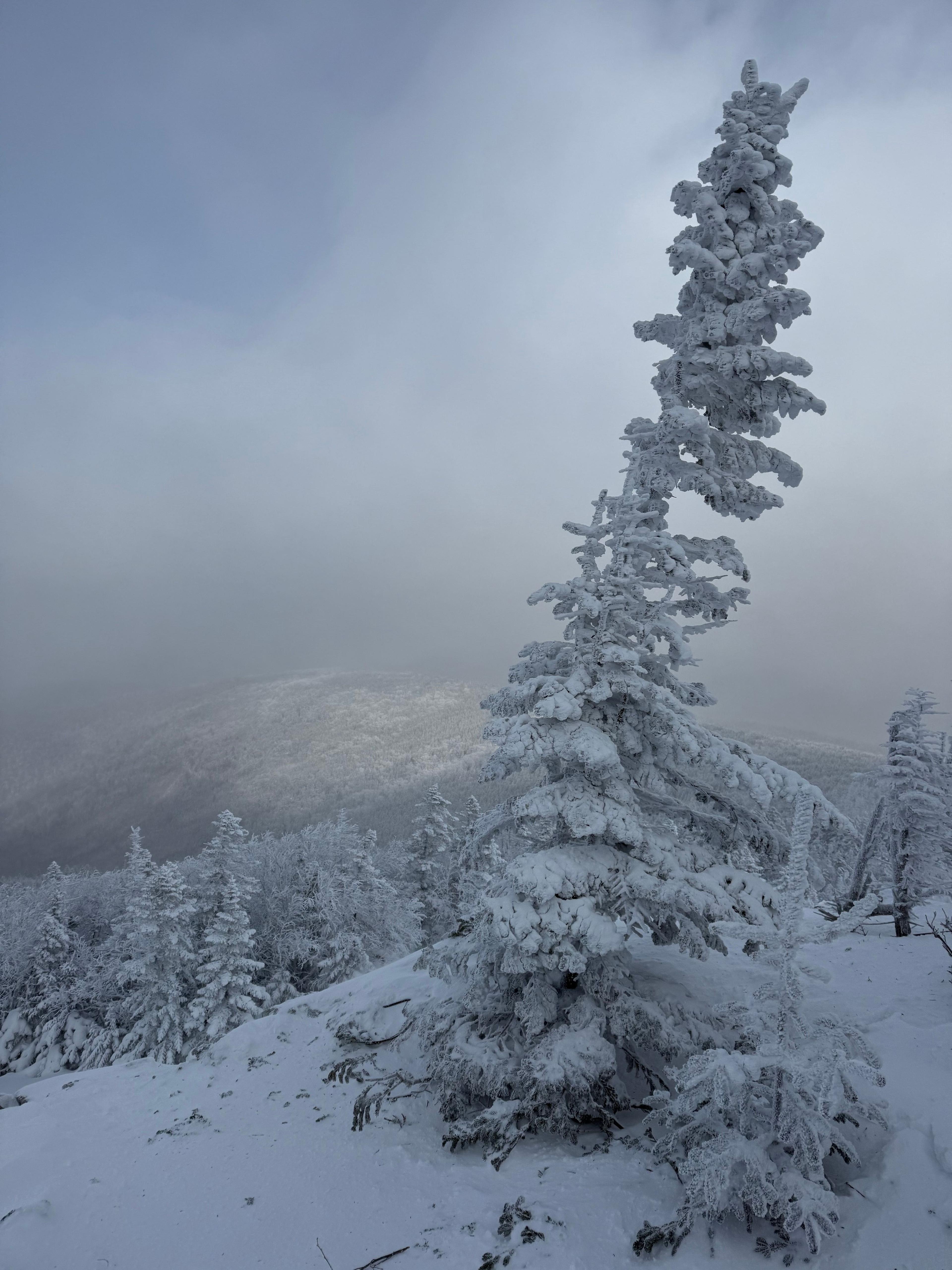 Фото отзыва 1