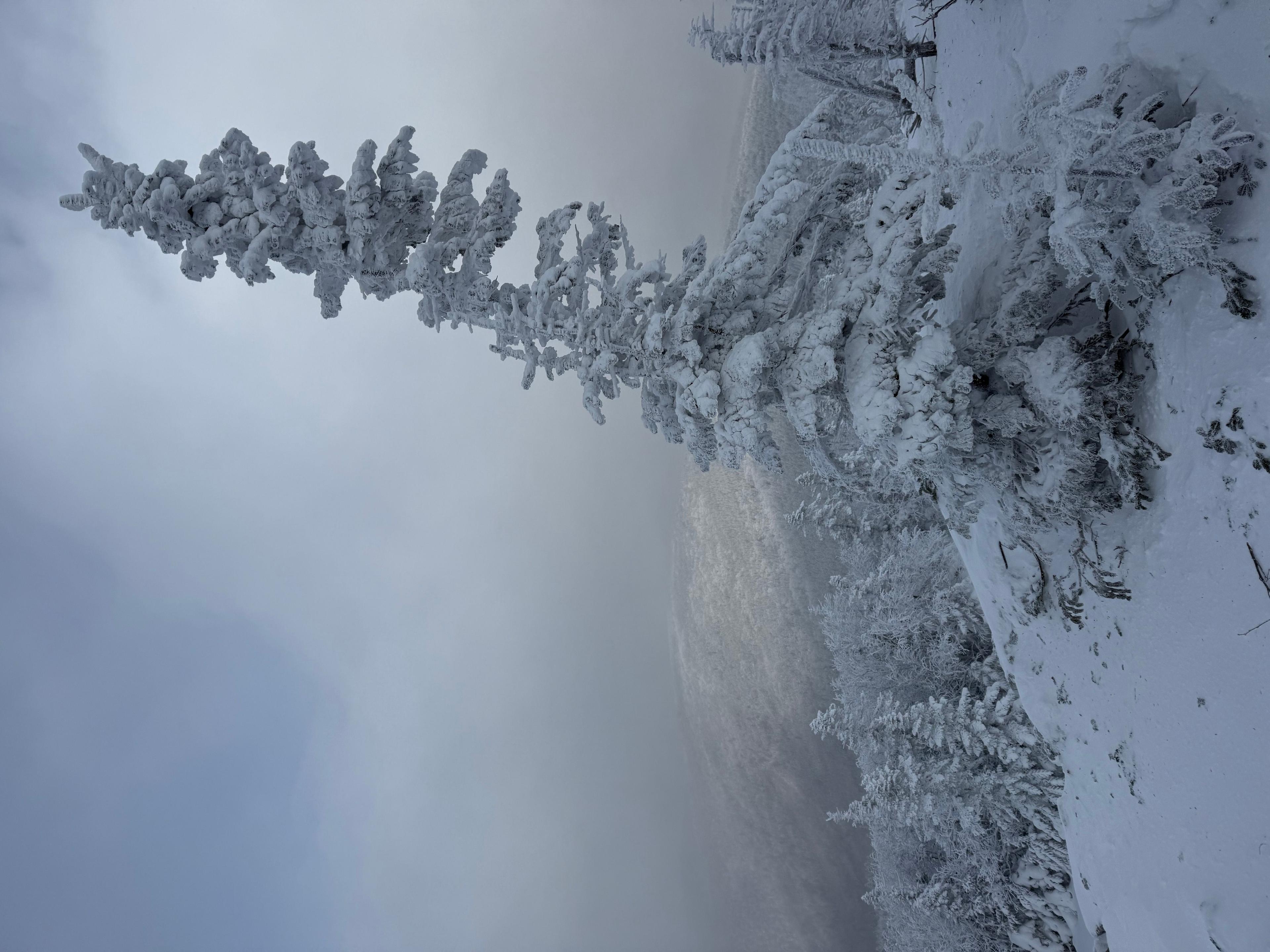 Фото отзыва 2