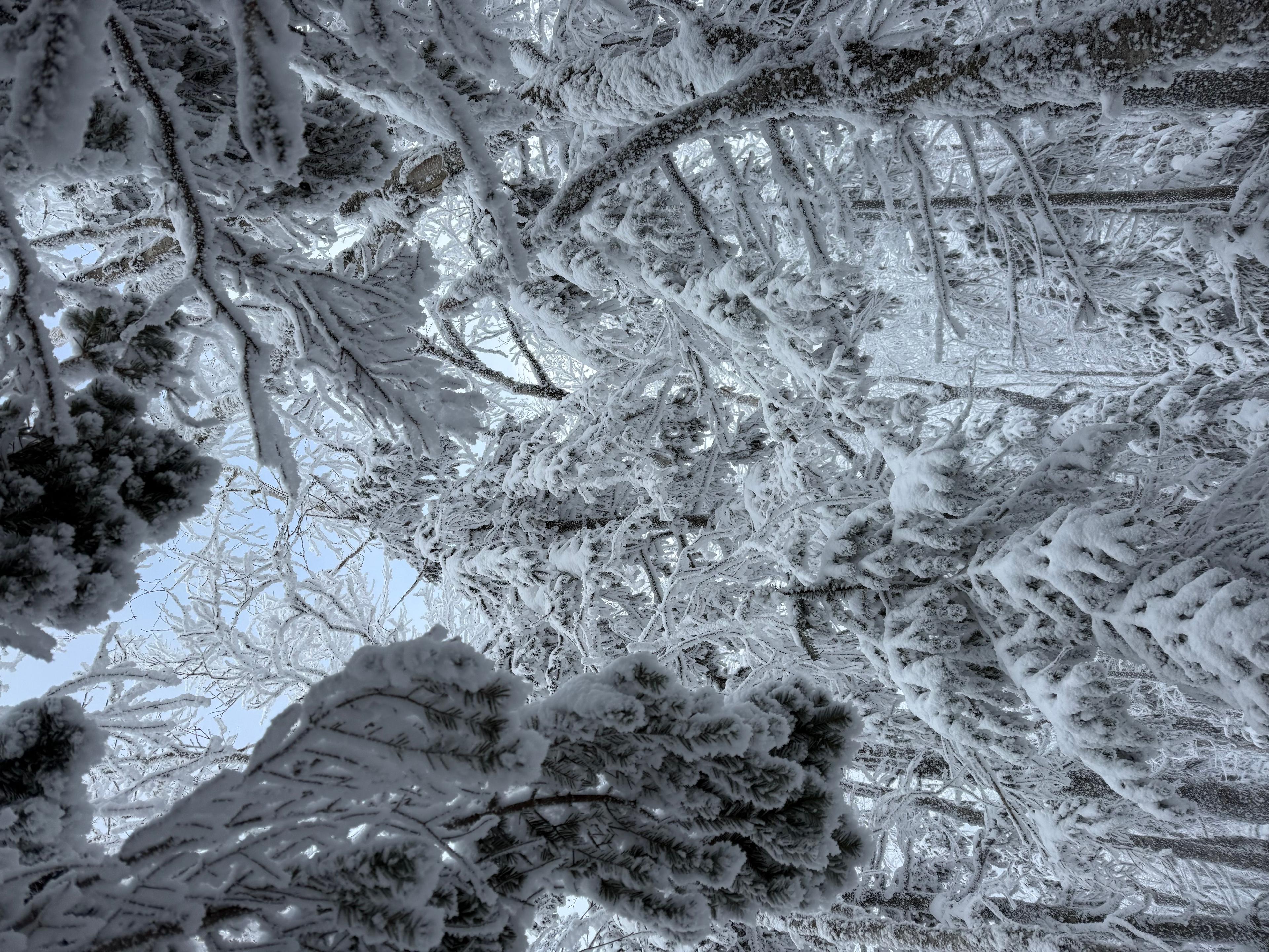 Фото отзыва 3