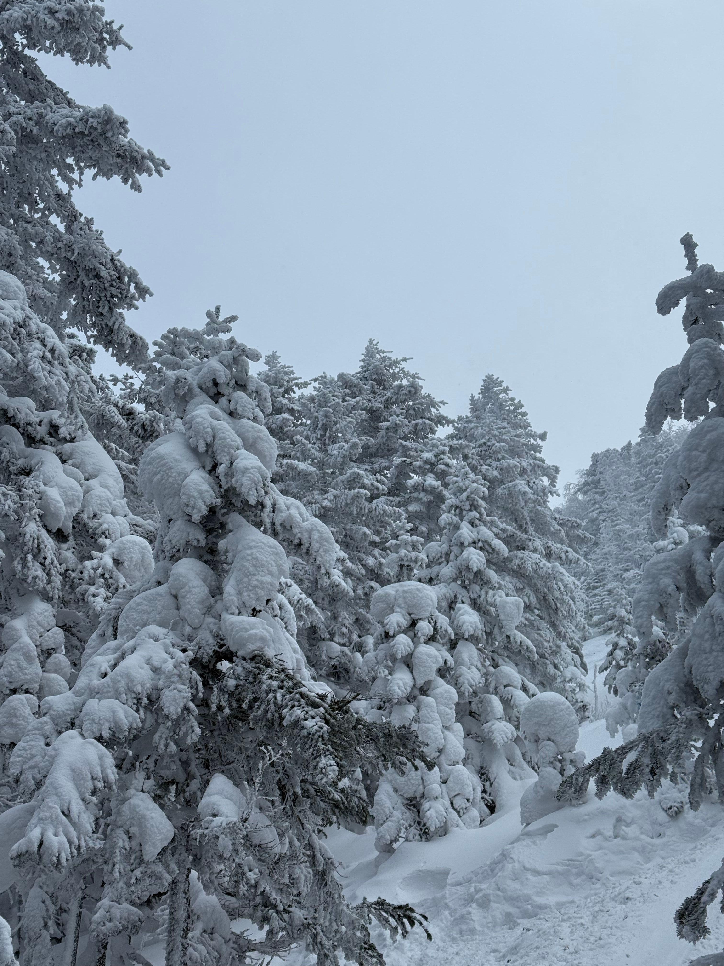 Фото отзыва 2