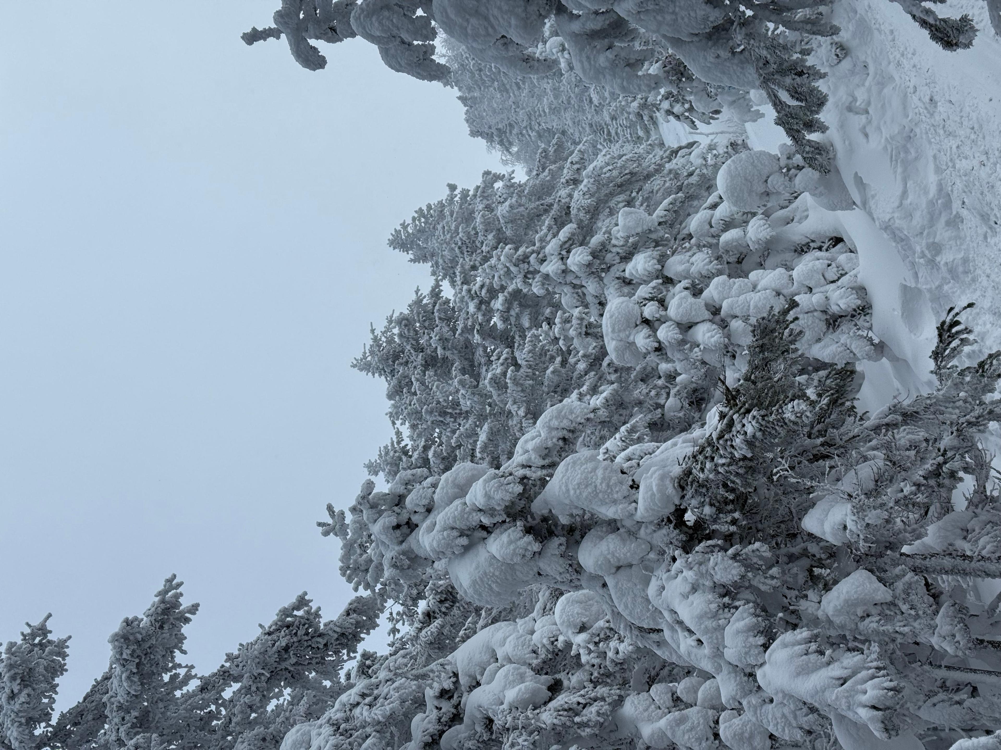 Фото отзыва 1