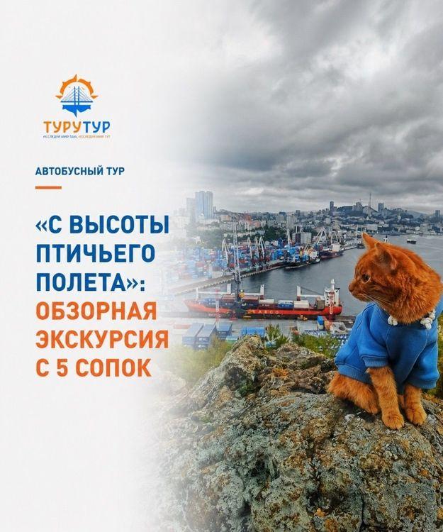 Обзорная экскурсия «С высоты птичьего полёта»
