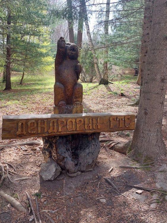 Экскурсия «Осенние краски: дендрарий и горячий бассейн»