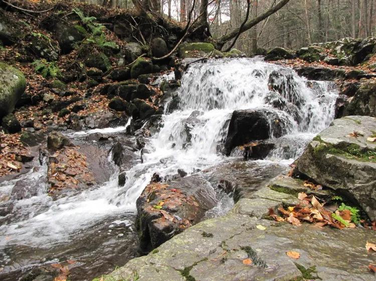 Excursion to the Resin Falls