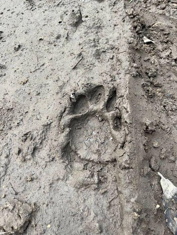 Экскурсия «Один день в тайге. Милоградовка — река водопадов и каньонов»