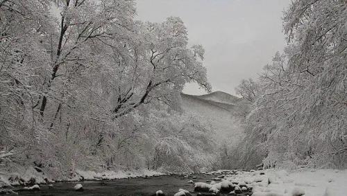 Two-day tour "Winter Journey to the Heart of the Cedar Pad Reserve"