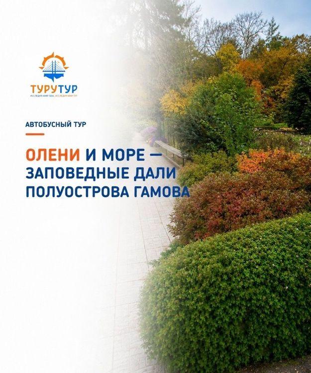Экскурсия «Заповедные дали полуострова Гамова»