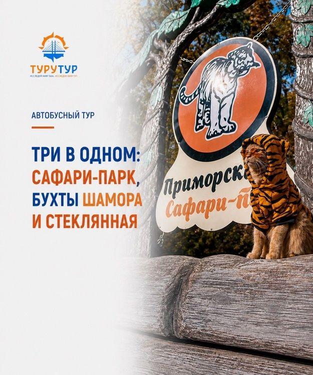 Экскурсия «Три в одном: сафари-парк и бухты Шамора и Стеклянная»