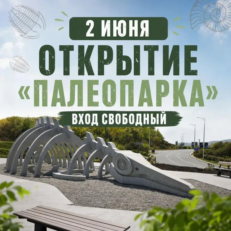 Торжественное открытие «Палеопарка» и «Палеокафе» у Приморского океанариума