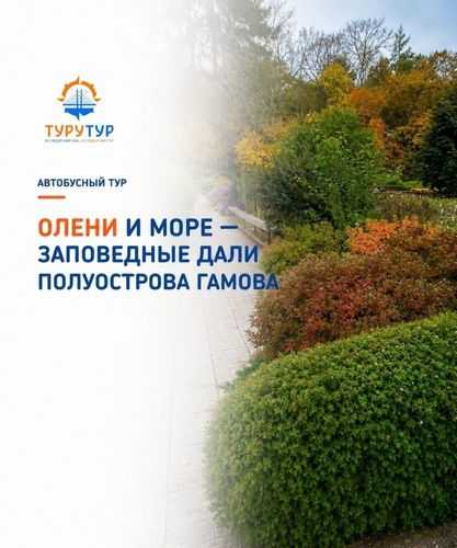 Экскурсия «Заповедные дали полуострова Гамова» Экскурсия «Заповедные дали полуострова Гамова»