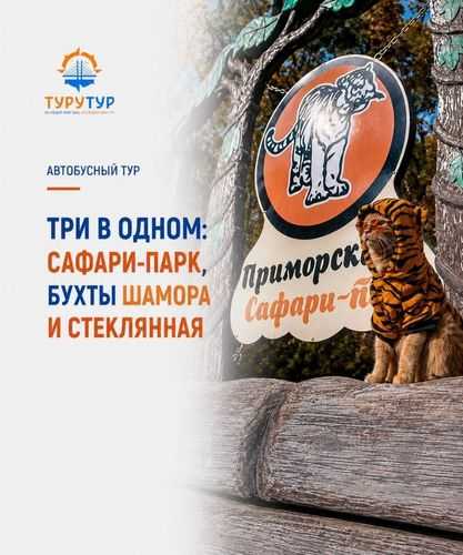 Экскурсия «Три в одном: сафари-парк и бухты Шамора и Стеклянная» Экскурсия «Три в одном: сафари-парк и бухты Шамора и Стеклянная»