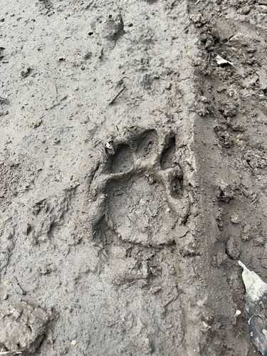 Экскурсия «Один день в тайге. Милоградовка — река водопадов и каньонов» Экскурсия «Один день в тайге. Милоградовка — река водопадов и каньонов»