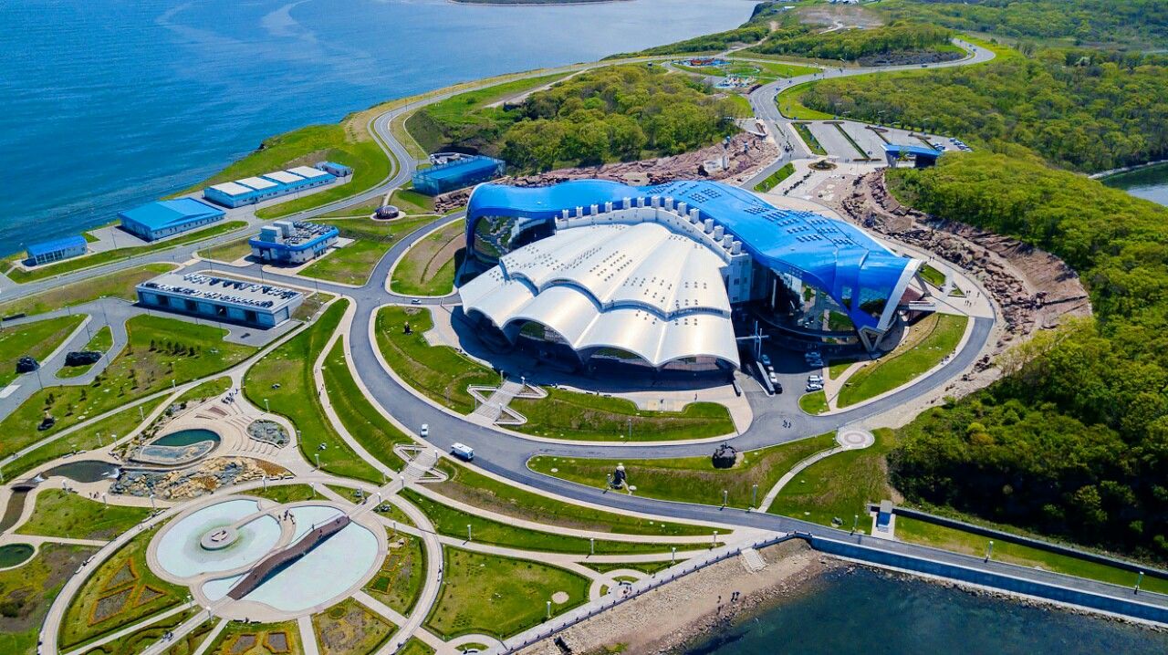 владивосток русский остров дельфинарий