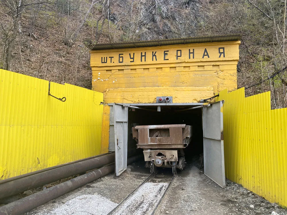 Окрестности города Дальнегорск - Фотографии растений и лишайников - Плантариум